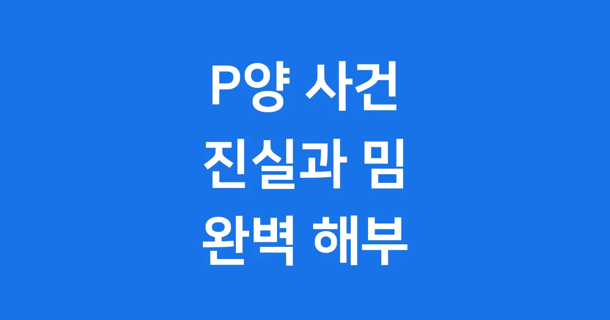 인스타 인플루언서 P양 사건, 그 진실과 밈 문화