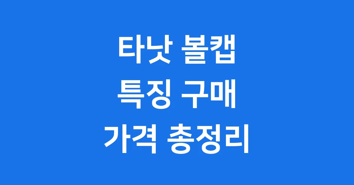 타낫 볼캡 특징 구매 방법 가격