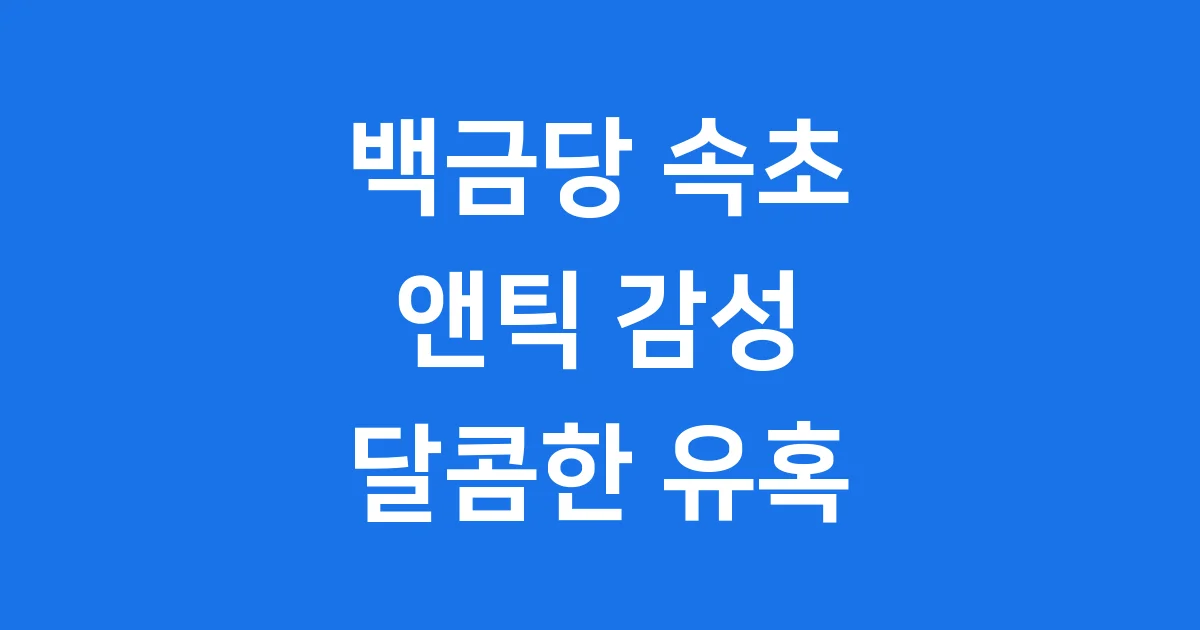 백금당 속초: 앤틱 감성과 달콤한 디저트의 완벽 조화
