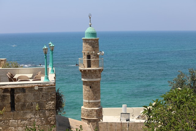 돌나라 한농, 그 시작은 언제부터였을까요?