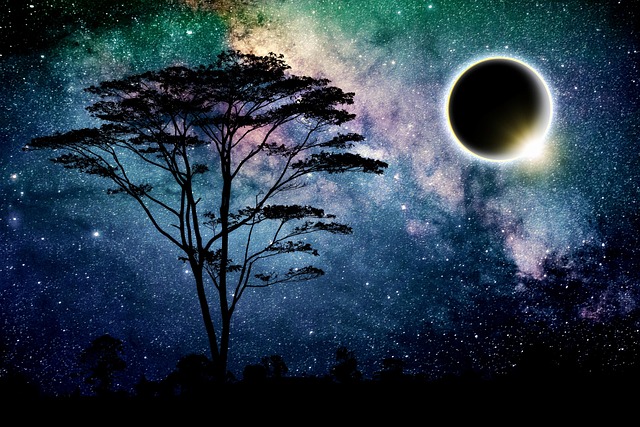 9월 8일 개기월식, 시간별 진행 과정 총정리