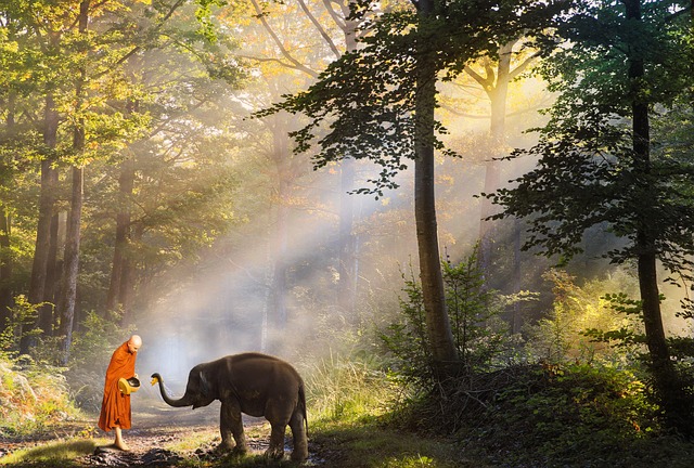 하안거와 백중: 스님들의 수행, 조상님 공양