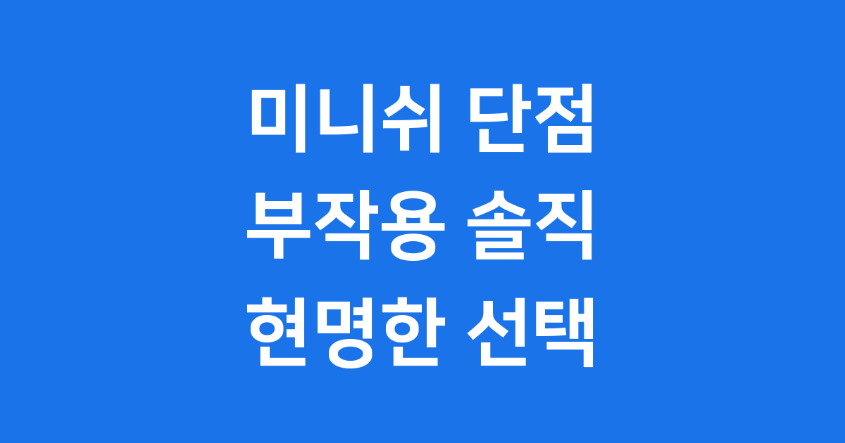 미니쉬 단점 부작용 후회 없이 선택