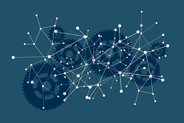 어떻게 운영되고 관리되었을까요?